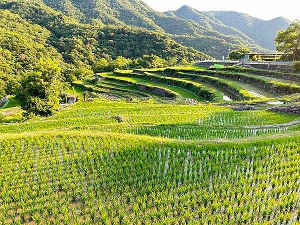 一個人一個月漫遊日本四國(一)香川縣篇