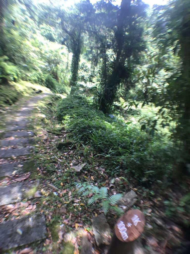 943AB89E-B167-4379-A360-EC51D073A71A.jpeg