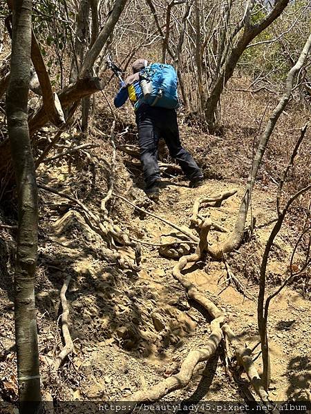 屏東獅子鄉。巴層巴墨山/5.5公里直線爬升、陡下800公尺 