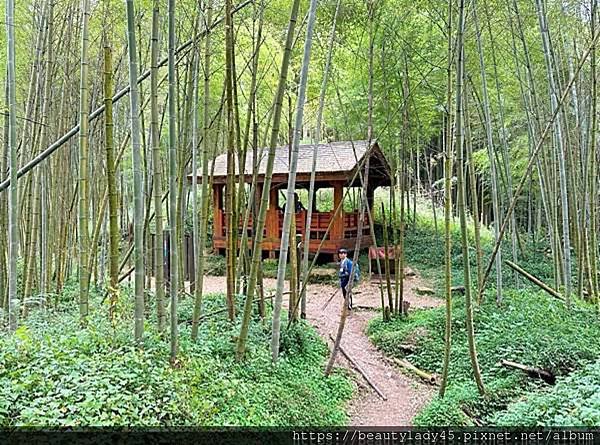 《嘉義竹崎鄉》7條登山健行路線/最美步道&amp;歷史古道