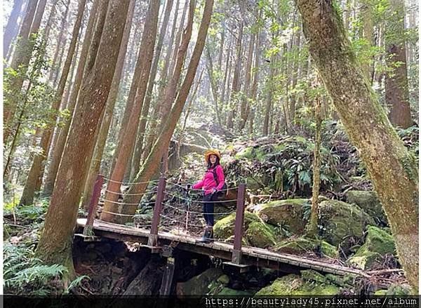 中北部八座小百岳合輯。台中-大橫屏山/苗栗-加里山、仙山/新