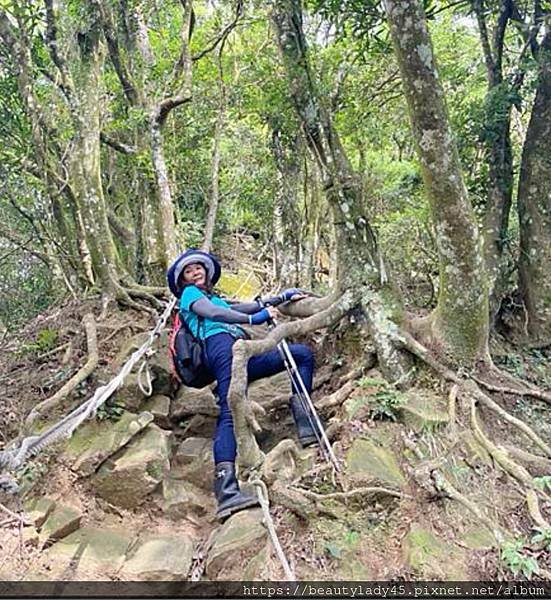 中北部八座小百岳合輯。台中-大橫屏山/苗栗-加里山、仙山/新