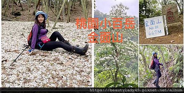中北部八座小百岳合輯。台中-大橫屏山/苗栗-加里山、仙山/新