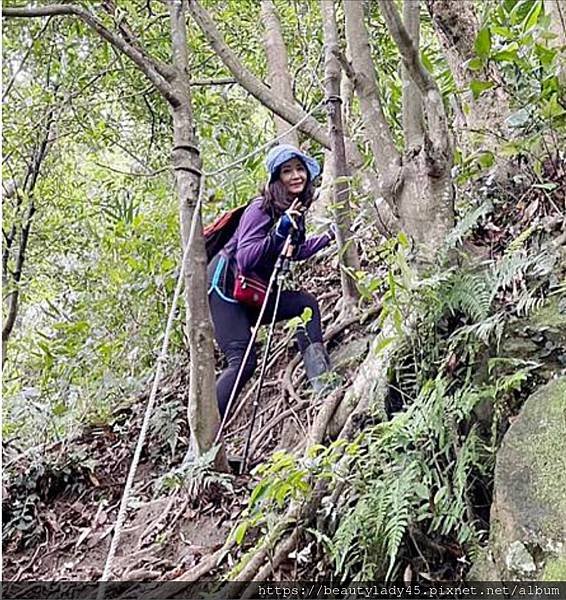中北部八座小百岳合輯。台中-大橫屏山/苗栗-加里山、仙山/新