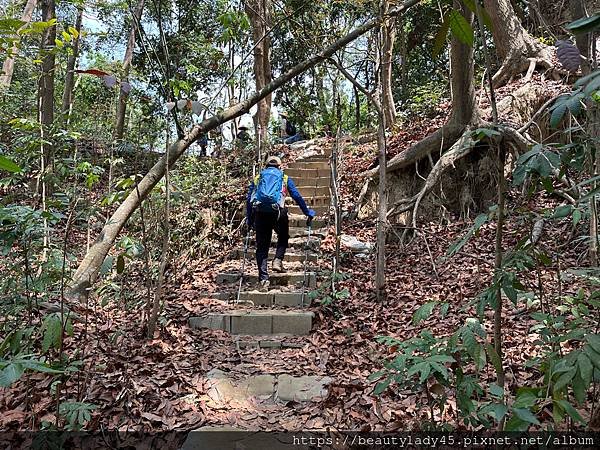 






台南新化區。「新化林場後山步道」/望見後山桃花