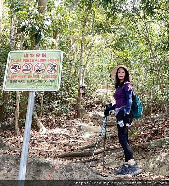 






台南新化區。「新化林場後山步道」/望見後山桃花