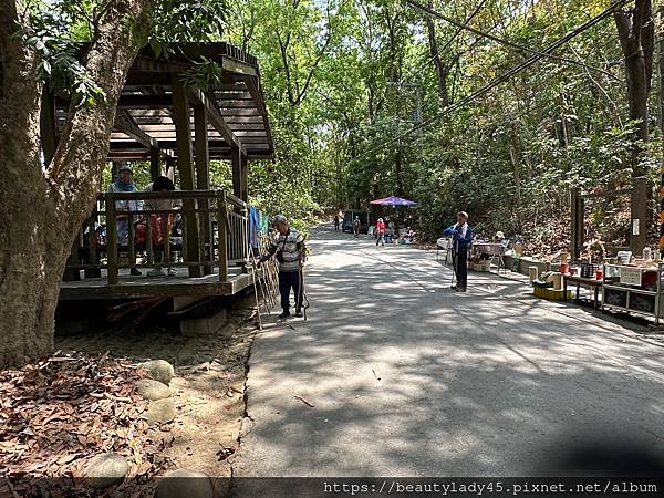 






台南新化區。「新化林場後山步道」/望見後山桃花