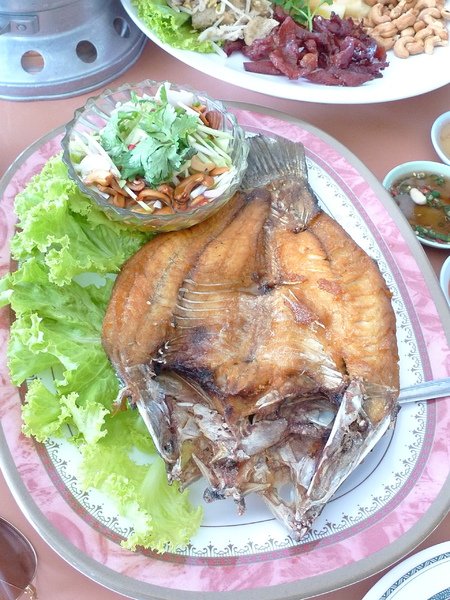 P1030830.JPG