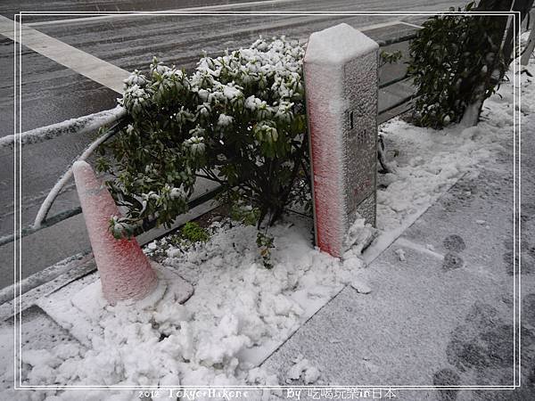 P1000684_nEO_IMG
