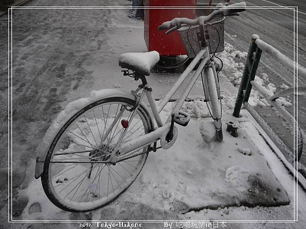 P1000686_nEO_IMG