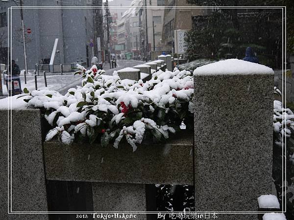 P1000730_nEO_IMG