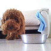 20120819_101606