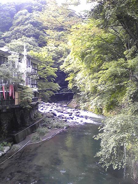 Image309.jpg
