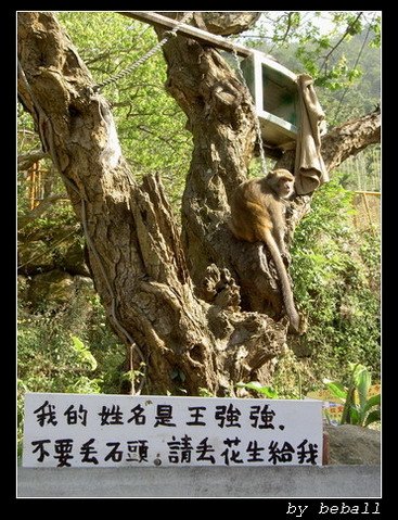 下一張(熱鍵:c)