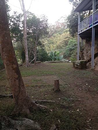 IMG_7603.jpg