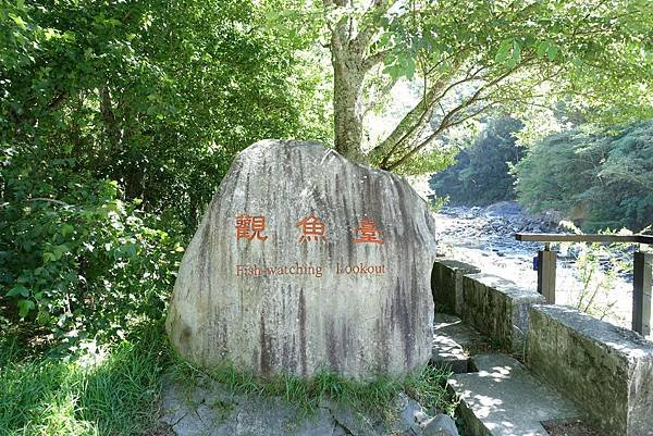 武陵農場