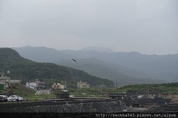 DSC01817.JPG