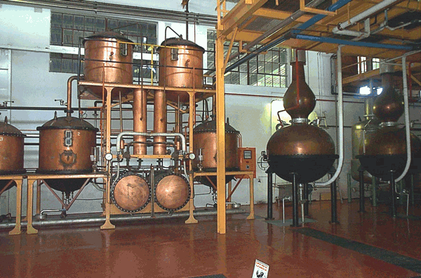 steam-distill