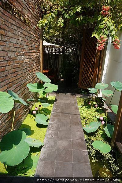 DSC06994
