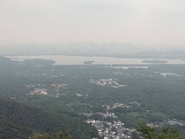 IMG20190701141548.jpg