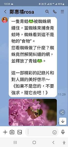 【善觀】雜談