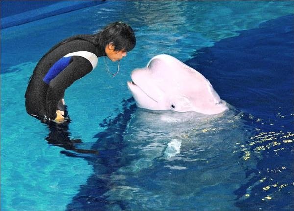 [屏東好讚!] 全球最佳水族館 屏東海生館名列亞洲第四,中港