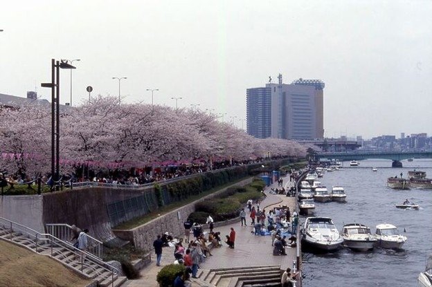 屏東的萬年溪,未來的首爾清溪川?日本隅川河?