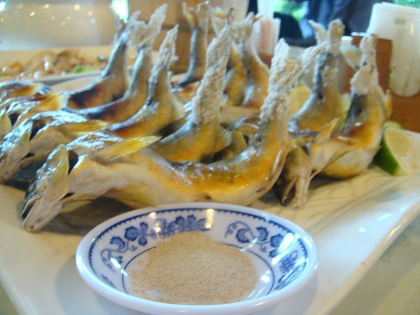 DSC04840.JPG