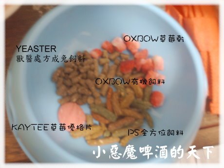 004.jpg