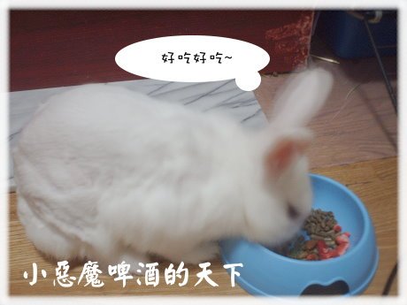 005.jpg