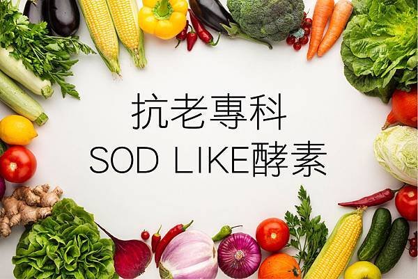 SODLIKE酵素1.jpg