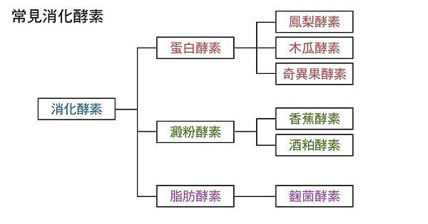 酵素減肥1.jpg