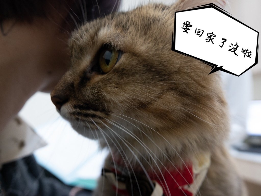 S__39641492.jpg