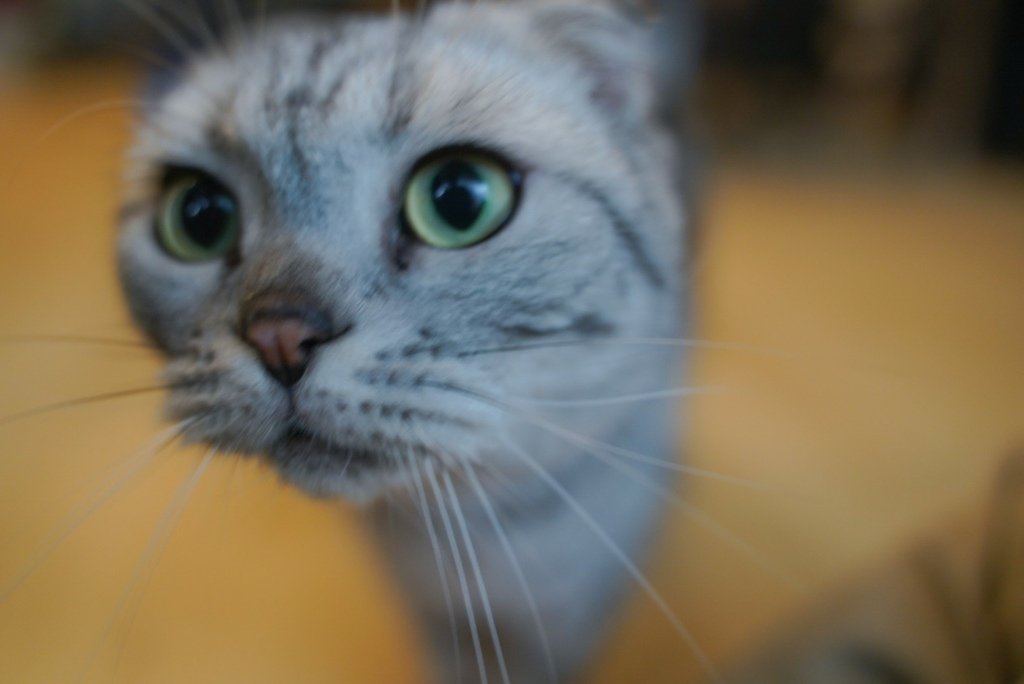 LINE_ALBUM_2022118_220120_7.jpg