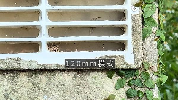 免費Apple log Lut 超全面錄影實測 iPhone 15 promax Blackmagic 超強解放 _不賴評測4KHDR (開字幕).00_07_44_13.Still008.jpg