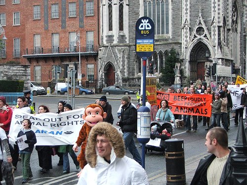 International Animal Rights Day inspired the largest ever animal rights protest in the Republic of Ireland, organised by Animal Rights Action Network (ARAN) .jpg