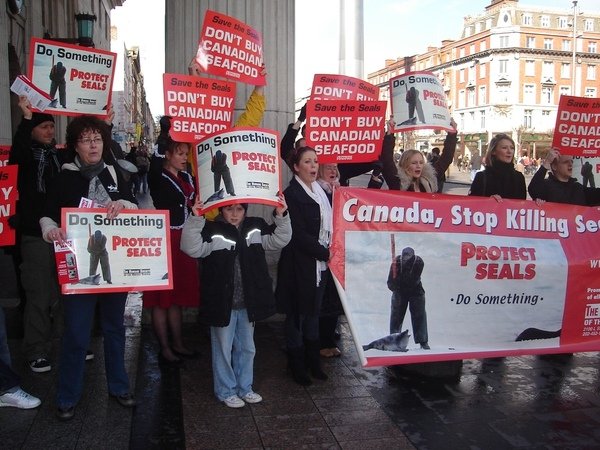 CanadianSealDemo003.jpg