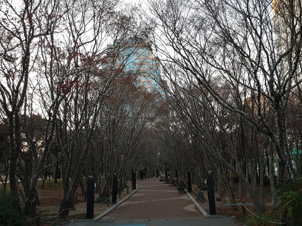 2016-12-27 16.52.16.jpg
