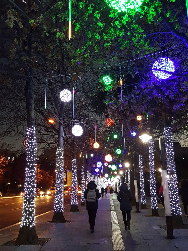 2016-12-27 17.50.46.jpg