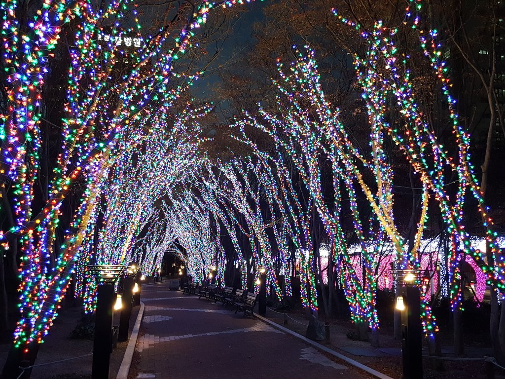 2016-12-27 17.52.12.jpg