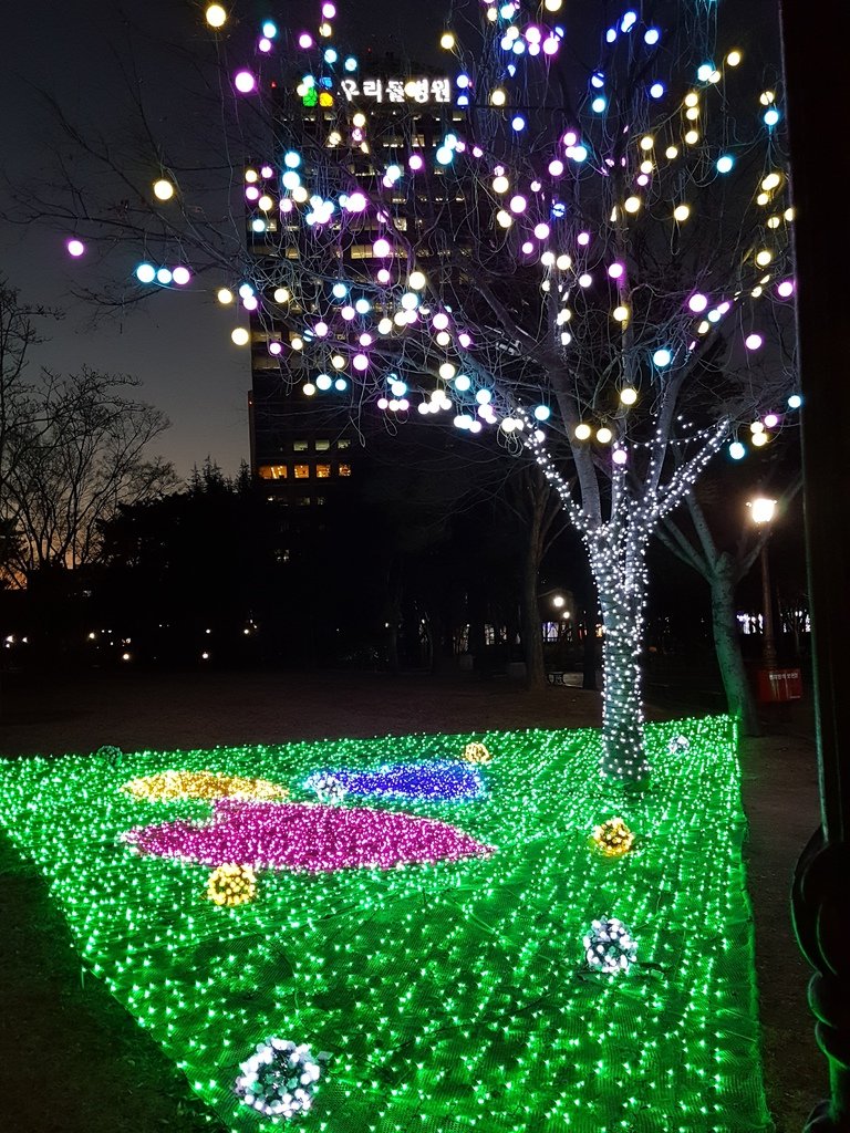 2016-12-27 17.53.14.jpg