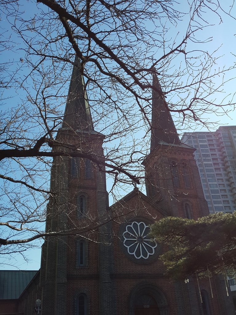 2016-12-28 10.58.25.jpg