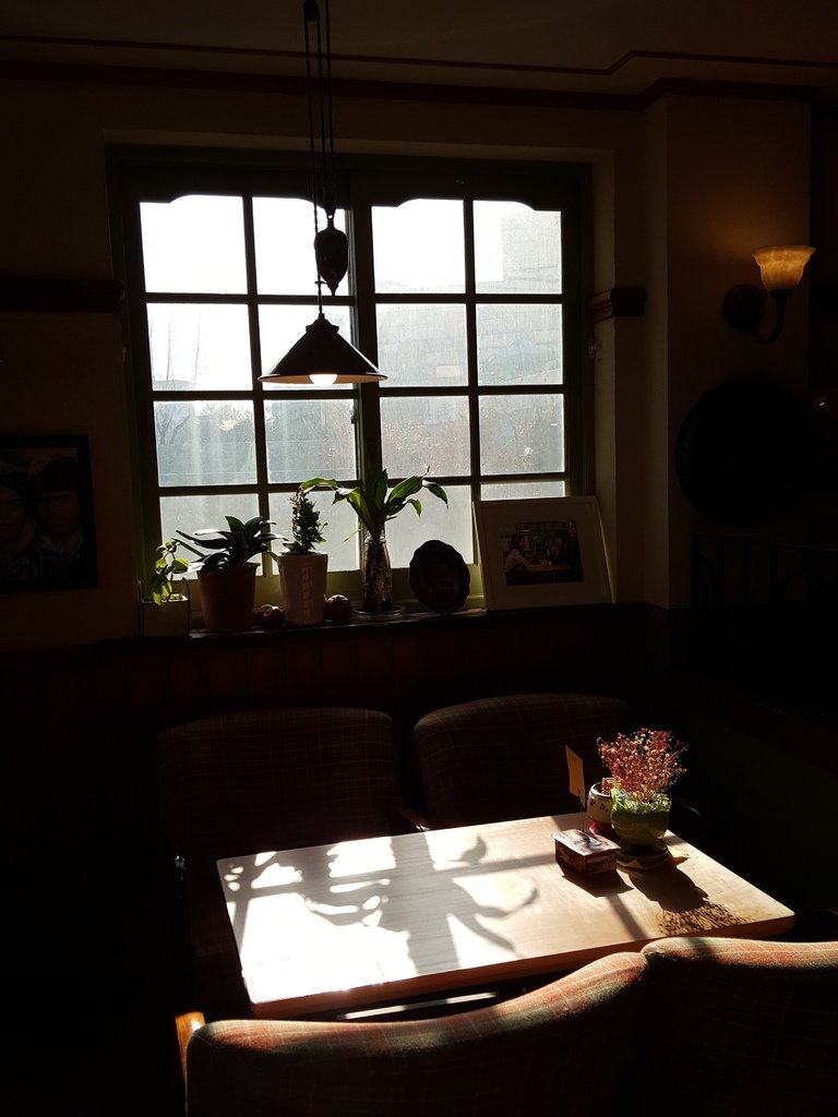 2016-12-28 11.22.27.jpg