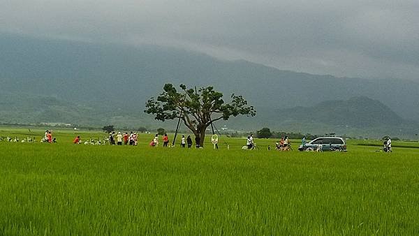 IMG_20140927_160427.jpg
