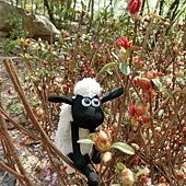 day2_慶熙大學1.JPG