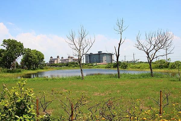 驢子廚房9.jpg