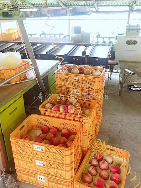 WeChat Image_20190810172252.jpg