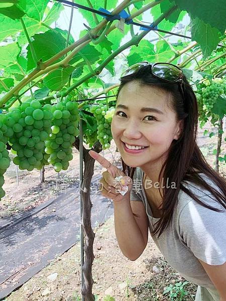 WeChat Image_20190810172338.jpg
