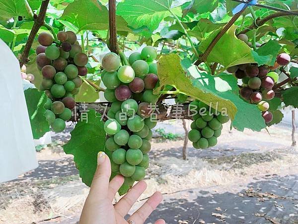 WeChat Image_20190810172333.jpg