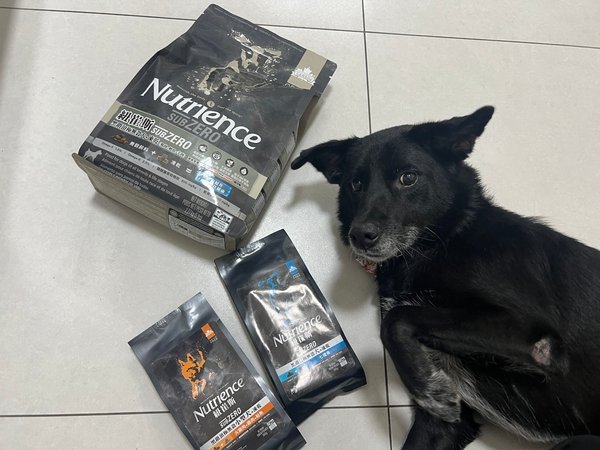 [寵物] Nutrience紐崔斯 黑鑽頂級無穀飼料評價 八